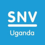 SNV