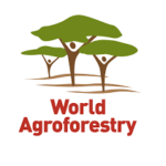 World Agroforestry