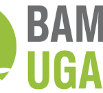 Bamboo Uganda